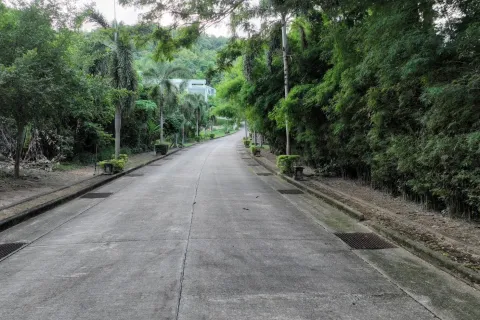 Terrain à Pa Klok, Thaïlande 1256 m2 № 161977 - photo 6