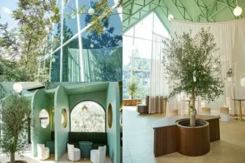 Propriété commerciale à Chiang Mai, Thaïlande 415 m2 № 162836 - photo 3