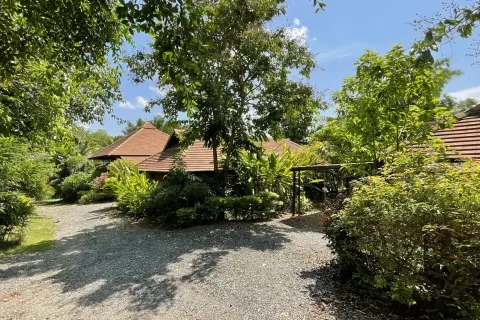 Commercial property in Chiang Mai, Thailand 1500 sq.m. № 162839 - photo 13