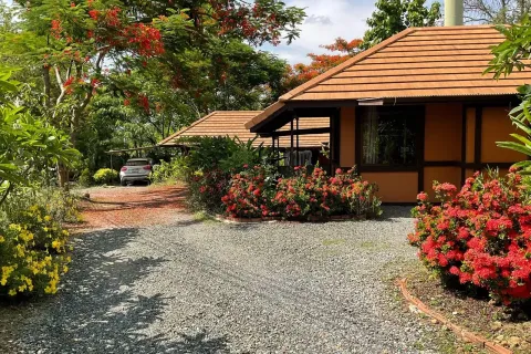 Propriété commerciale à Chiang Mai, Thaïlande 1500 m2 № 162839 - photo 20