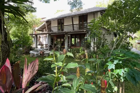 Propriété commerciale à Chiang Mai, Thaïlande 1500 m2 № 162839 - photo 23