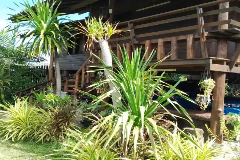 Commercial property in Chiang Mai, Thailand 350 sq.m. № 162834 - photo 12