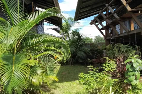 Propriété commerciale à Chiang Mai, Thaïlande 350 m2 № 162834 - photo 2