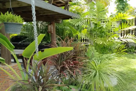 Propriété commerciale à Chiang Mai, Thaïlande 350 m2 № 162834 - photo 3