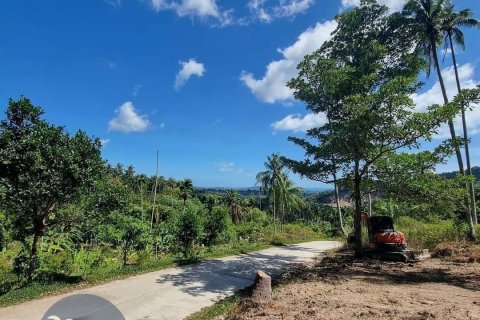 Land in Ko Samui, Thailand 4046 sq.m. № 180122 - photo 6