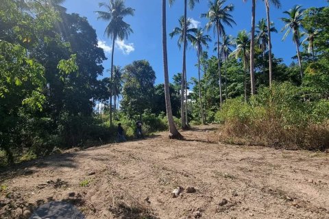 Land in Ko Samui, Thailand 4046 sq.m. № 180122 - photo 5