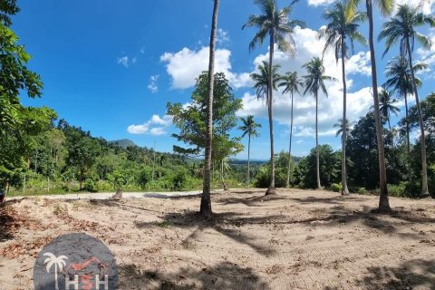Land in Ko Samui, Thailand 4046 sq.m. № 180122