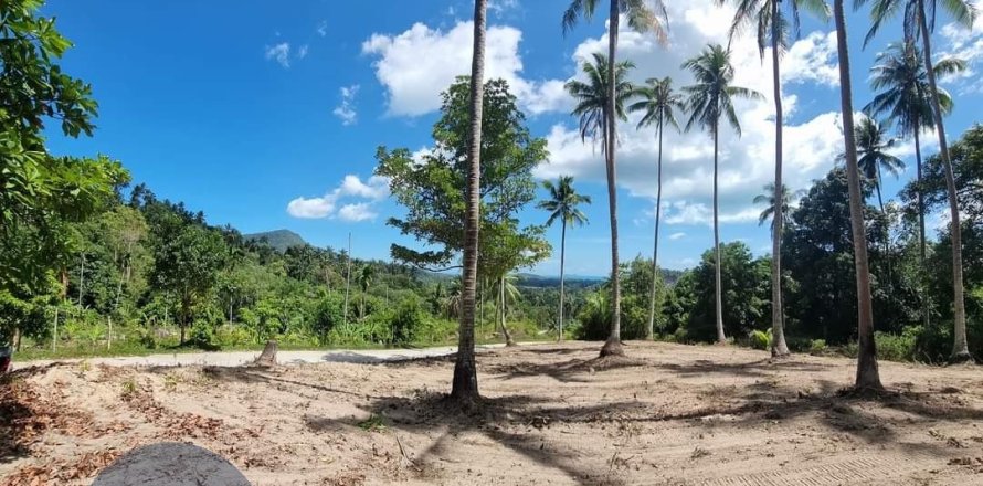 Land in Ko Samui, Thailand 4046 sq.m. № 180122