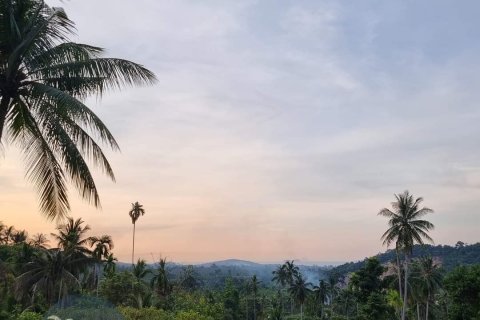 Land in Ko Samui, Thailand 4046 sq.m. № 180122 - photo 3