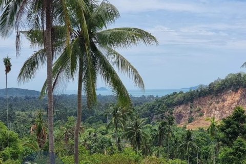 Land in Ko Samui, Thailand 4046 sq.m. № 180122 - photo 2