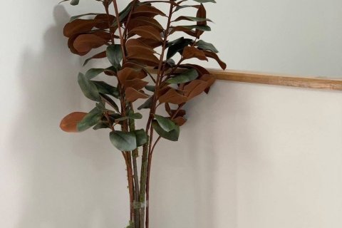 Таунхаус в Банг Каео, Таиланд с 3 спальнями  № 136320 - фото 12