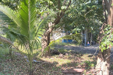 Land in Udon Thani, Thailand 6400 sq.m. № 171671 - photo 8