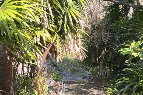 Land in Udon Thani, Thailand 6400 sq.m. № 171671 - photo 2