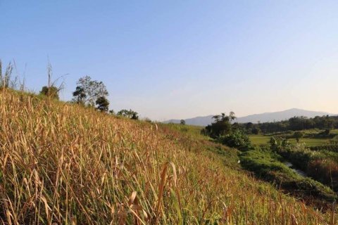 Земельный участок в Мэчане, Таиланд 5520м2  № 171675 - фото 3