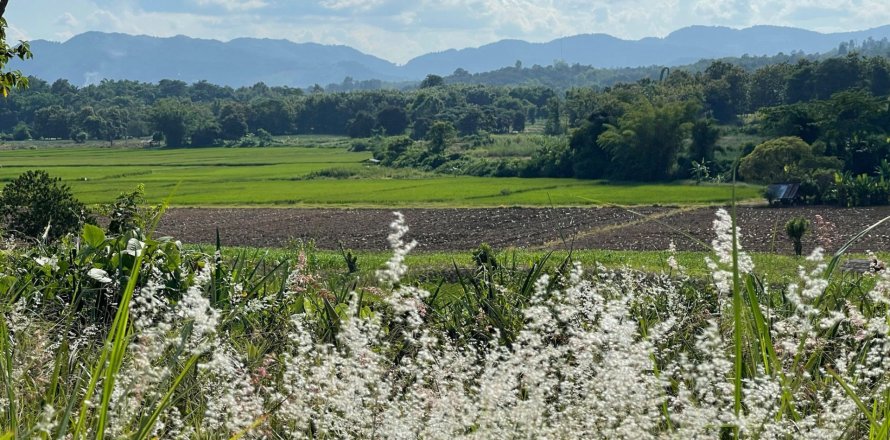 Земельный участок в Мэчане, Таиланд 5520м2  № 171675