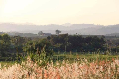Land in Mae Chan, Thailand 5520 sq.m. № 171674