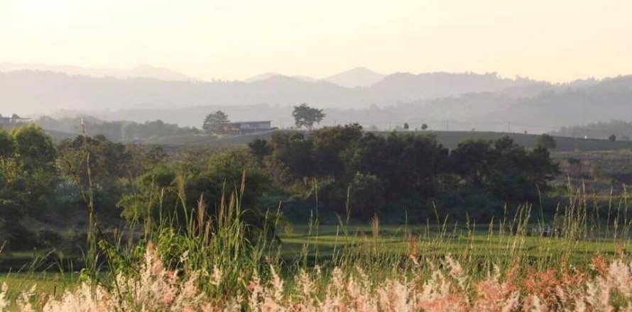 Land in Mae Chan, Thailand 5520 sq.m. № 171674