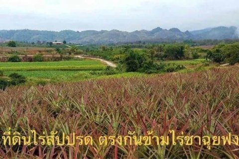 Land in Mae Chan, Thailand 5520 sq.m. № 171674 - photo 12
