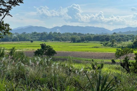 Land in Mae Chan, Thailand 5520 sq.m. № 171674 - photo 3