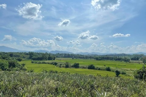 Land in Mae Chan, Thailand 5520 sq.m. № 171674 - photo 13