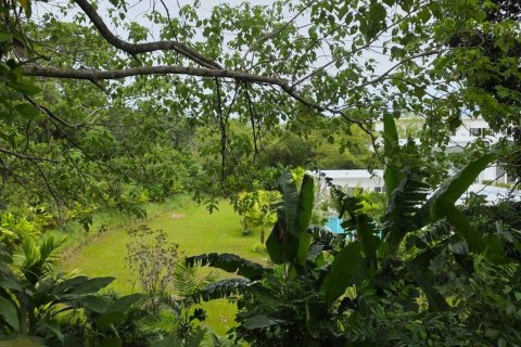 Terrain à Ko Samui, Thaïlande 5296 m2 № 147555 - photo 5