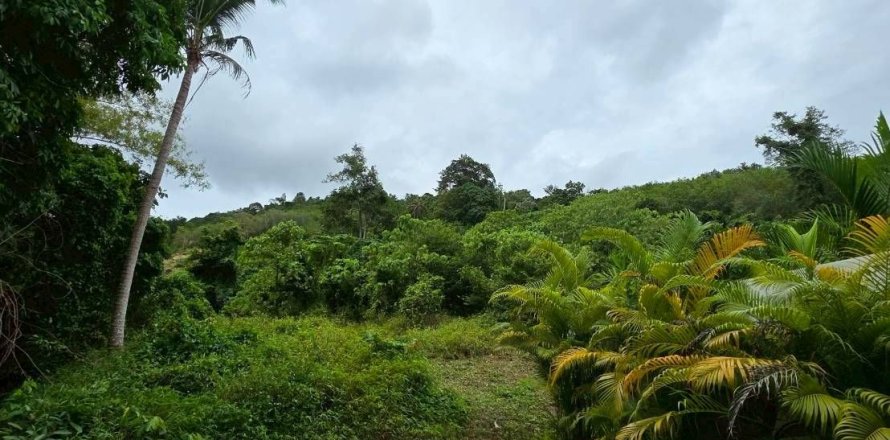 Terrain à Ko Samui, Thaïlande 5296 m2 № 147555
