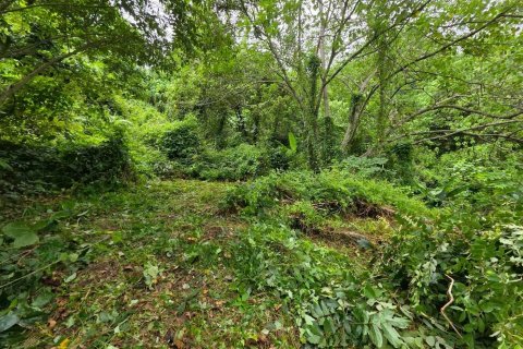 Terrain à Ko Samui, Thaïlande 5296 m2 № 147555 - photo 3