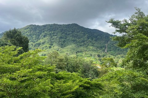 Penthouse in Kathu, Thailand 3 bedrooms № 137602 - photo 21