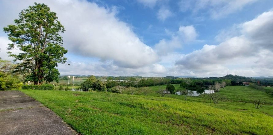 House in Chiang Rai, Thailand 4 bedrooms № 156414