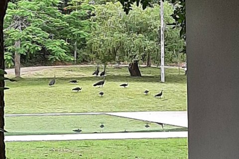 House in Chiang Rai, Thailand 4 bedrooms № 156414 - photo 5