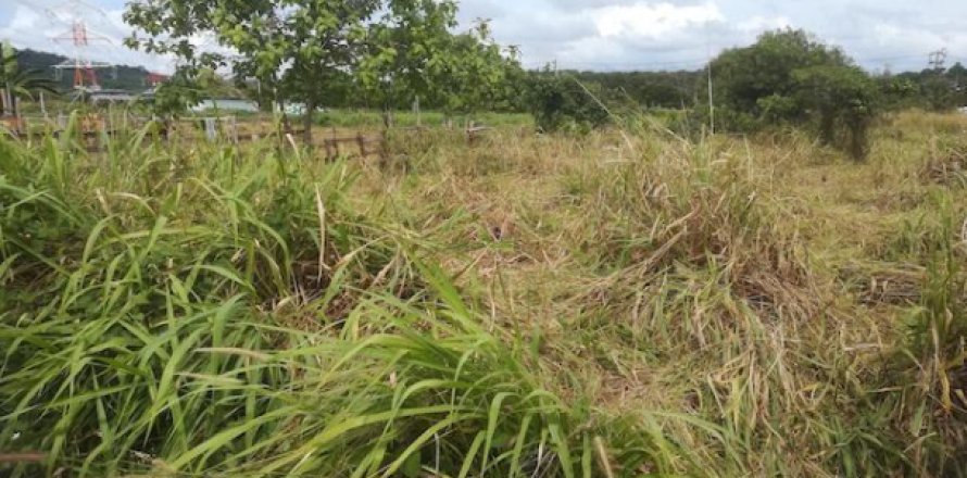Land in Mai Khao, Thailand 40000 sq.m. № 194088