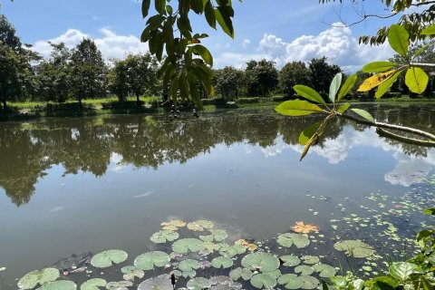 Дом в Чианграе, Таиланд с 2 спальнями  № 158137 - фото 20