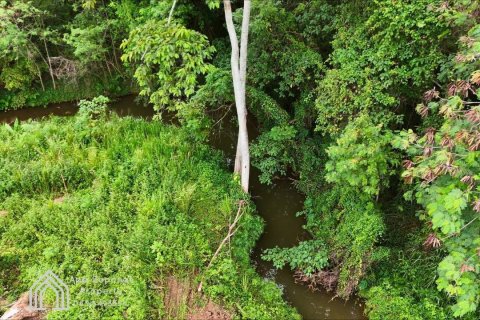 Land in Pak Chong, Thailand 1600 sq.m. № 158185 - photo 12