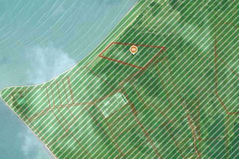 Land in Phang Nga, Thailand 38948 sq.m. № 151507 - photo 9