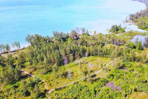 Land in Phang Nga, Thailand 38948 sq.m. № 151507 - photo 1