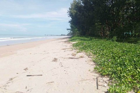 Land in Phang Nga, Thailand 38948 sq.m. № 151507 - photo 5