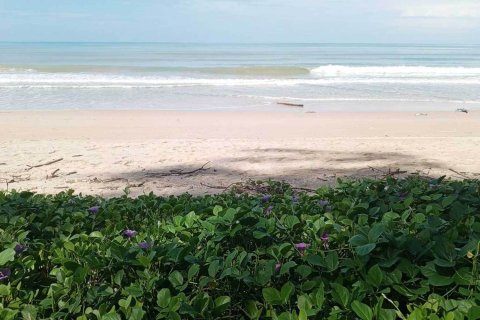 Land in Phang Nga, Thailand 38948 sq.m. № 151507 - photo 7