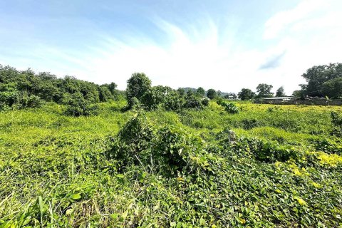 Land in Phuket, Thailand 27200 sq.m. № 171096 - photo 6