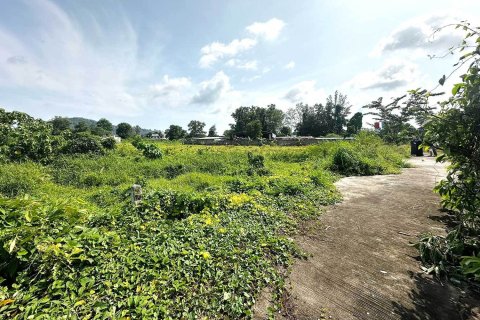 Land in Phuket, Thailand 27200 sq.m. № 171096 - photo 4