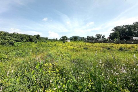 Land in Phuket, Thailand 27200 sq.m. № 171096 - photo 3