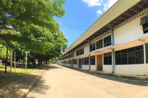 Земельный участок в Кратум Баене, Таиланд 132800м2  № 171100 - фото 4