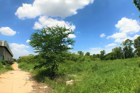 Земельный участок в Кратум Баене, Таиланд 132800м2  № 171100 - фото 3