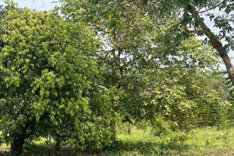 Terrain à Prachin Buri, Thaïlande 80456.8 m2 № 171742 - photo 8