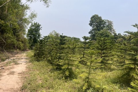 Terrain à Prachin Buri, Thaïlande 80456.8 m2 № 171742 - photo 10