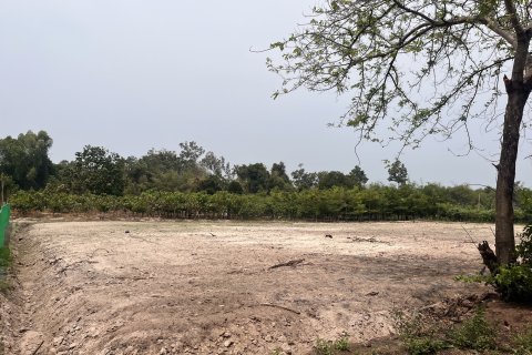 Terrain à Prachin Buri, Thaïlande 80456.8 m2 № 171742 - photo 5