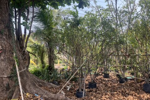 Terrain à Prachin Buri, Thaïlande 80456.8 m2 № 171742 - photo 7