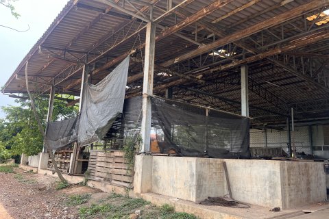 Terrain à Prachin Buri, Thaïlande 80456.8 m2 № 171742 - photo 4