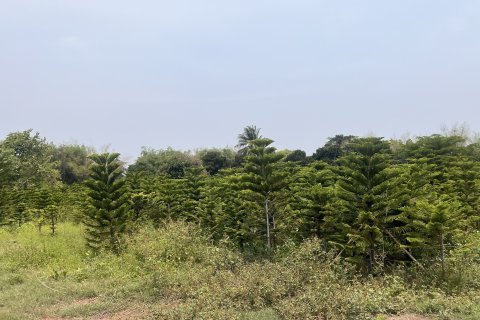 Terrain à Prachin Buri, Thaïlande 80456.8 m2 № 171742 - photo 2