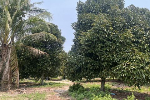 Terrain à Prachin Buri, Thaïlande 80456.8 m2 № 171742 - photo 9
