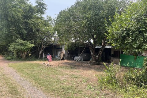 Terrain à Prachin Buri, Thaïlande 80456.8 m2 № 171742 - photo 3